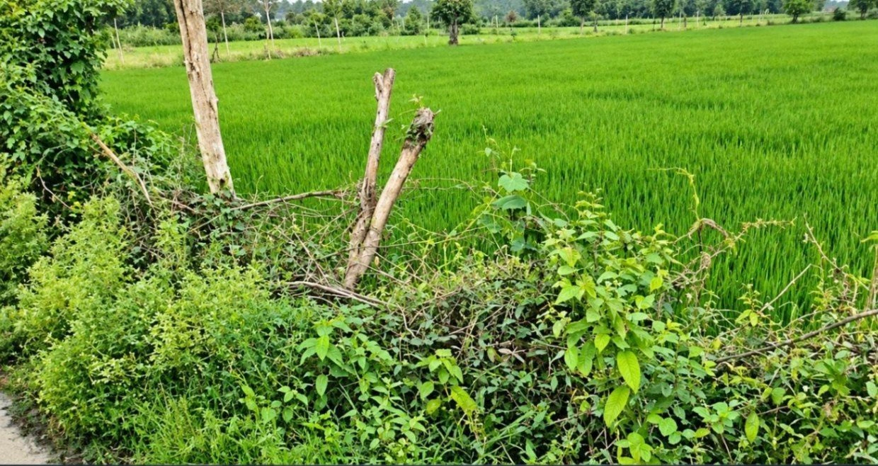 Muhammadabad Gohna, Mau, Uttar Pradesh, India