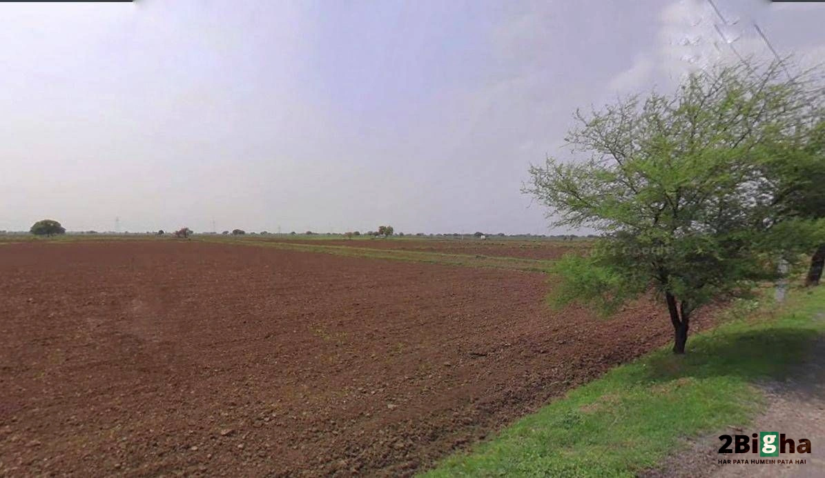 Jhajjar, Haryana 124103, India