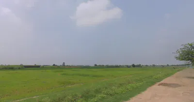 Khanpur, Uttar Pradesh 203405, India preview 2