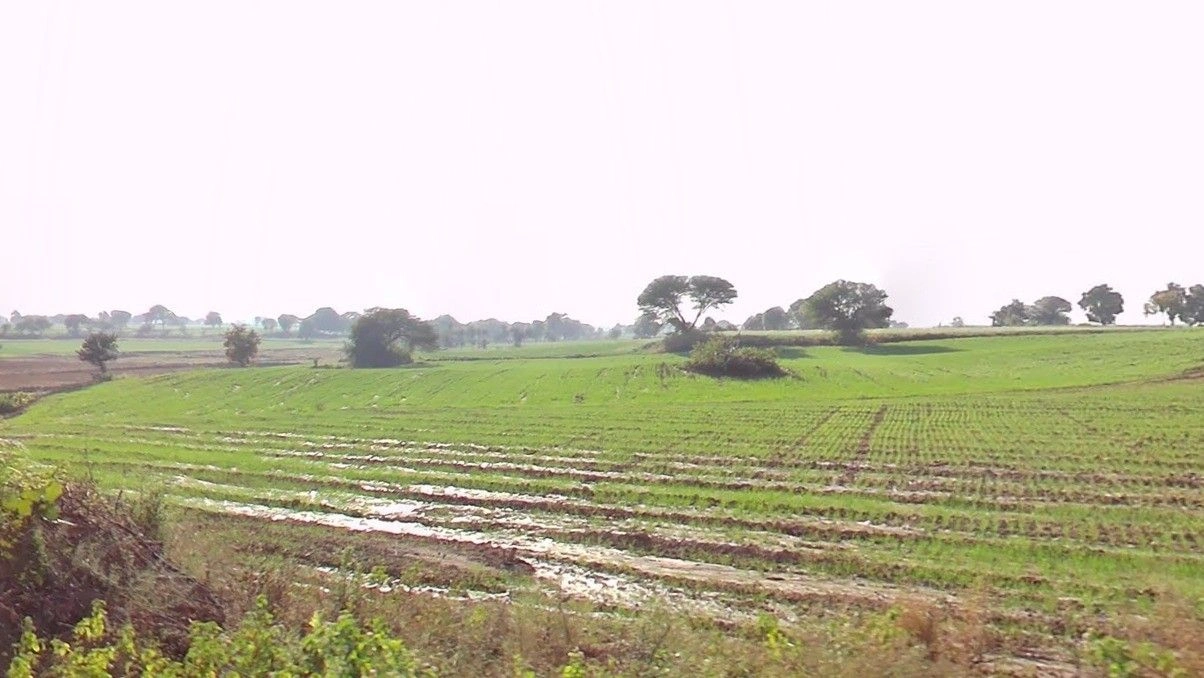 96WV+99X, Bordi, Madhya Pradesh 457777, India