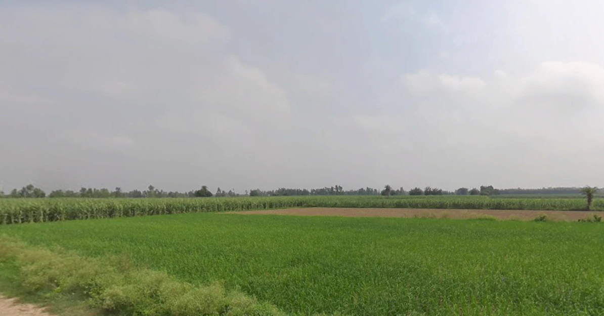 Bilsanda, Uttar Pradesh 262202, India