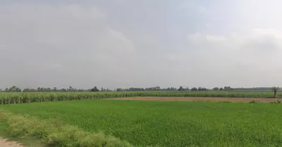Bilsanda, Uttar Pradesh 262202, India preview 3