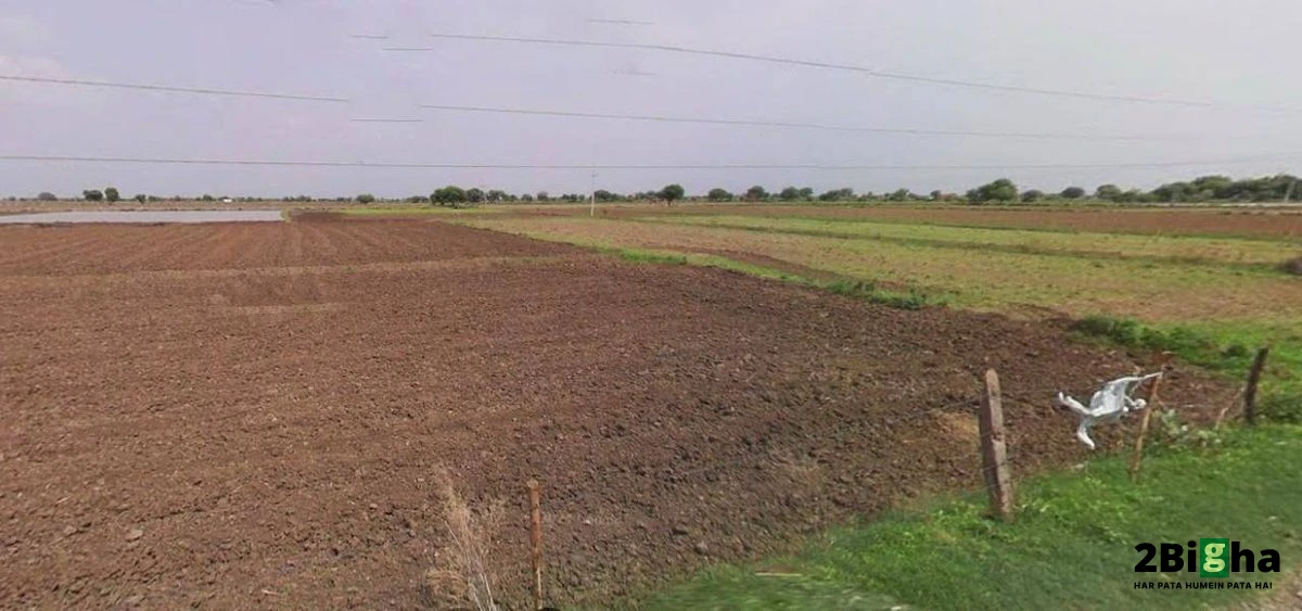 Jharli, Haryana 124106, India