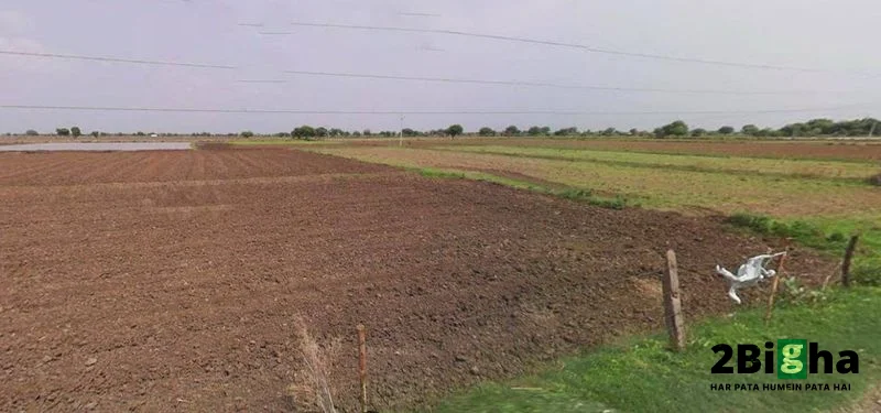 Jharli, Haryana 124106, India preview 2