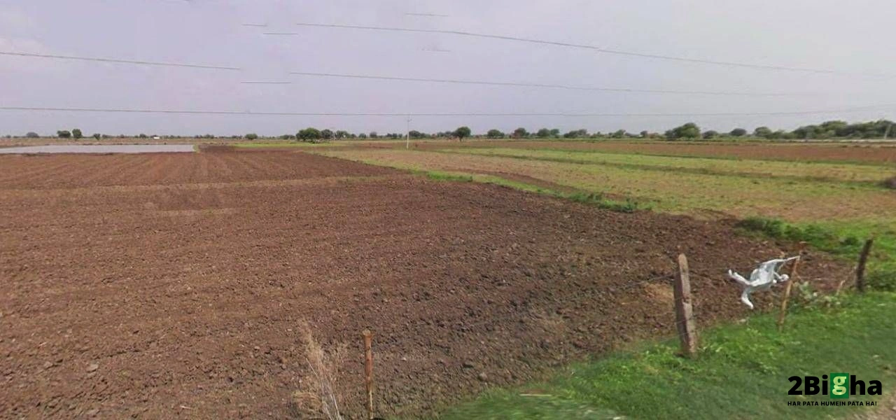 Jharli, Haryana 124106, India