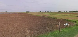 Jharli, Haryana 124106, India preview 2