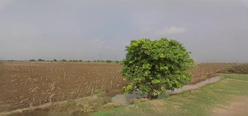 Ujjain, Madhya Pradesh, India preview 2