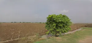 Ujjain, Madhya Pradesh, India preview 2