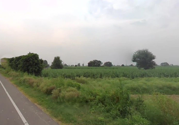 Puttha Rd, Rithani West, Phase-II, Industrial Area, Mohkam Pur, Meerut, Uttar Pradesh, India