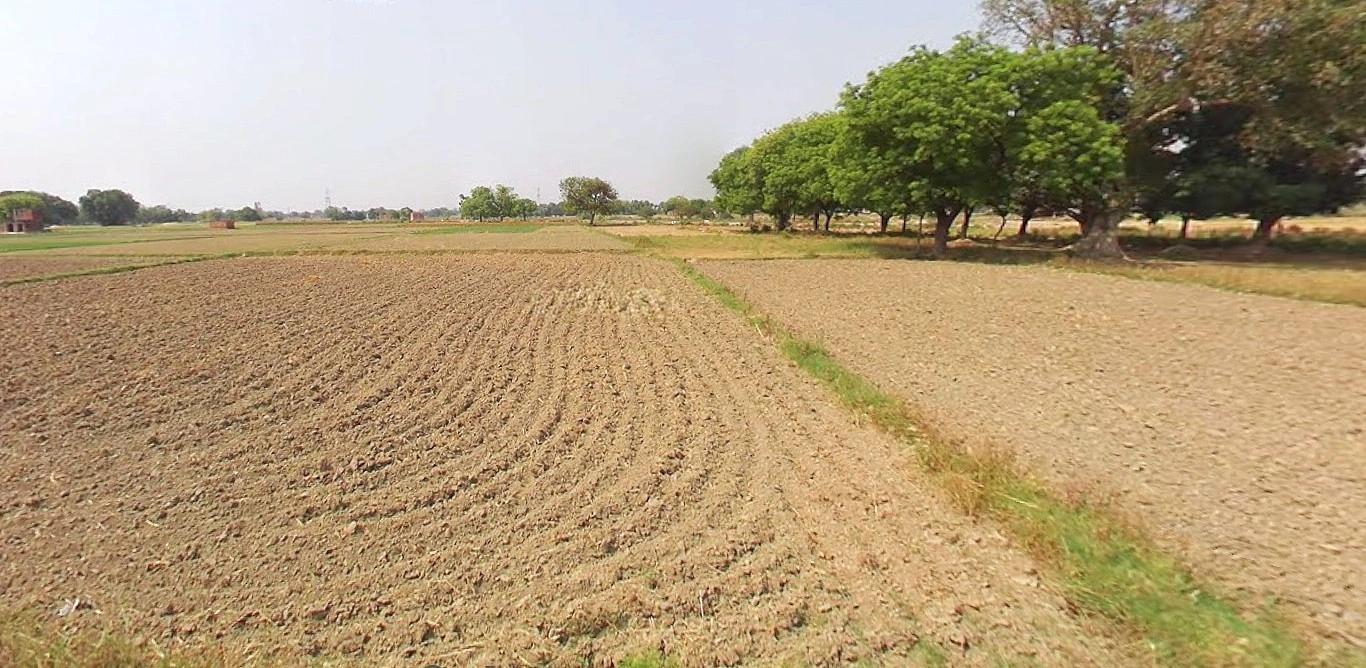 Jewar, Uttar Pradesh 203135, India