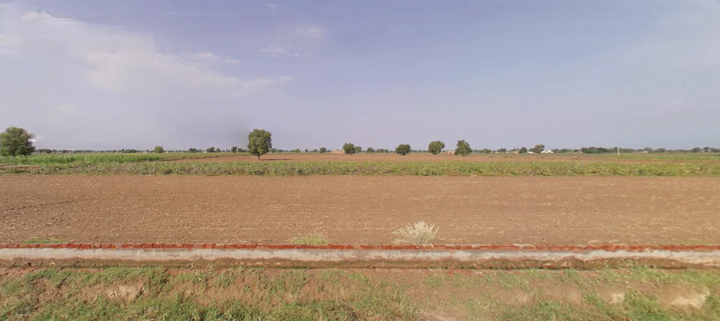 Risalia Khera, Haryana 125103, India