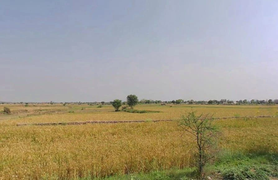 QRFR+8G3, Baghora, Rajasthan 301405, India