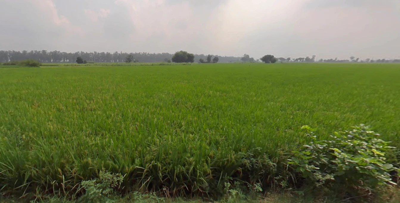 Landha, Punjab 141421, India