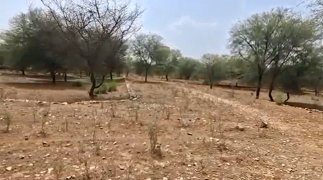 2Q6M+XM, Harmada, Jaipur, Rajasthan 302013, India