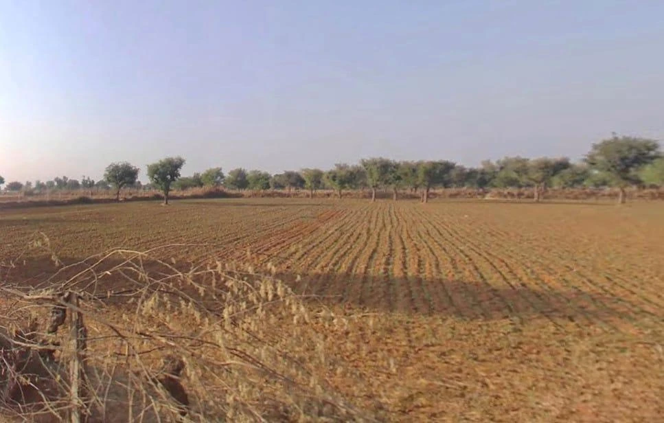 Akoda, Rajasthan 303338, India