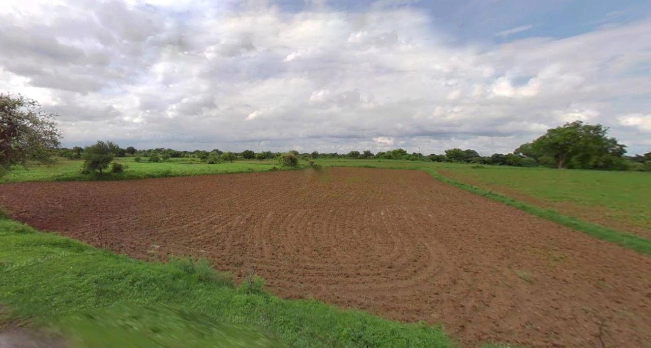 Bijnor, Uttar Pradesh 246701, India