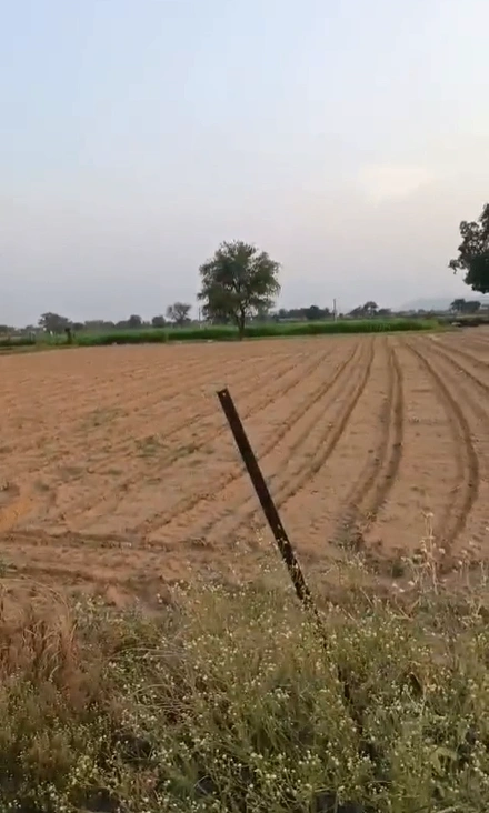 27, Arangpur, Anangpur, Faridabad, Haryana 121003, India