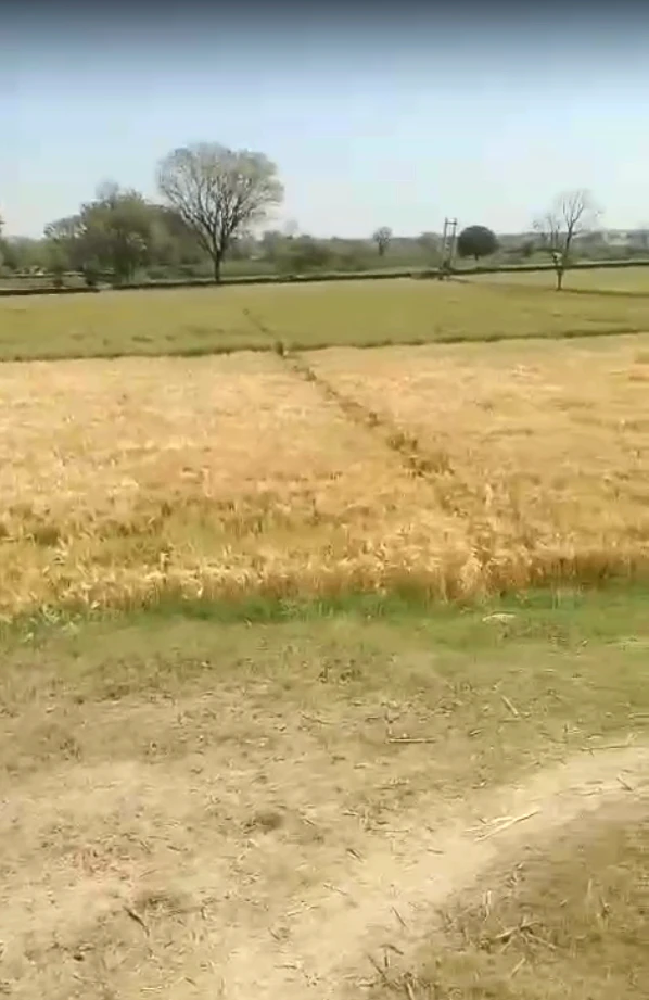 Ratanpur Ki Sarai, Rajasthan 313601, India