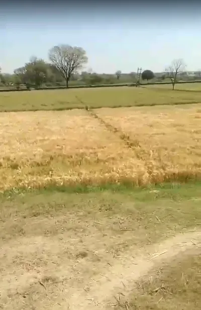 Ratanpur Ki Sarai, Rajasthan 313601, India preview 3