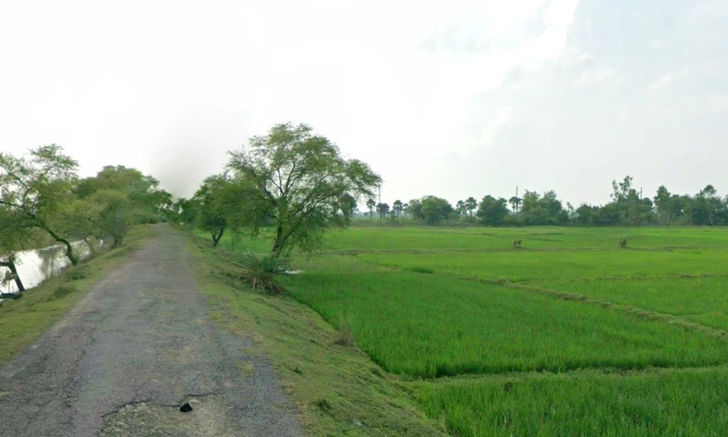 Mohandi, Chhattisgarh 493445, India