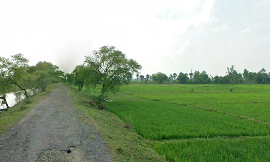 Mohandi, Chhattisgarh 493445, India