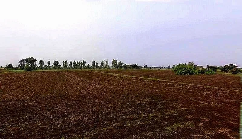 Gora Khedi, Madhya Pradesh 466115, India preview 3