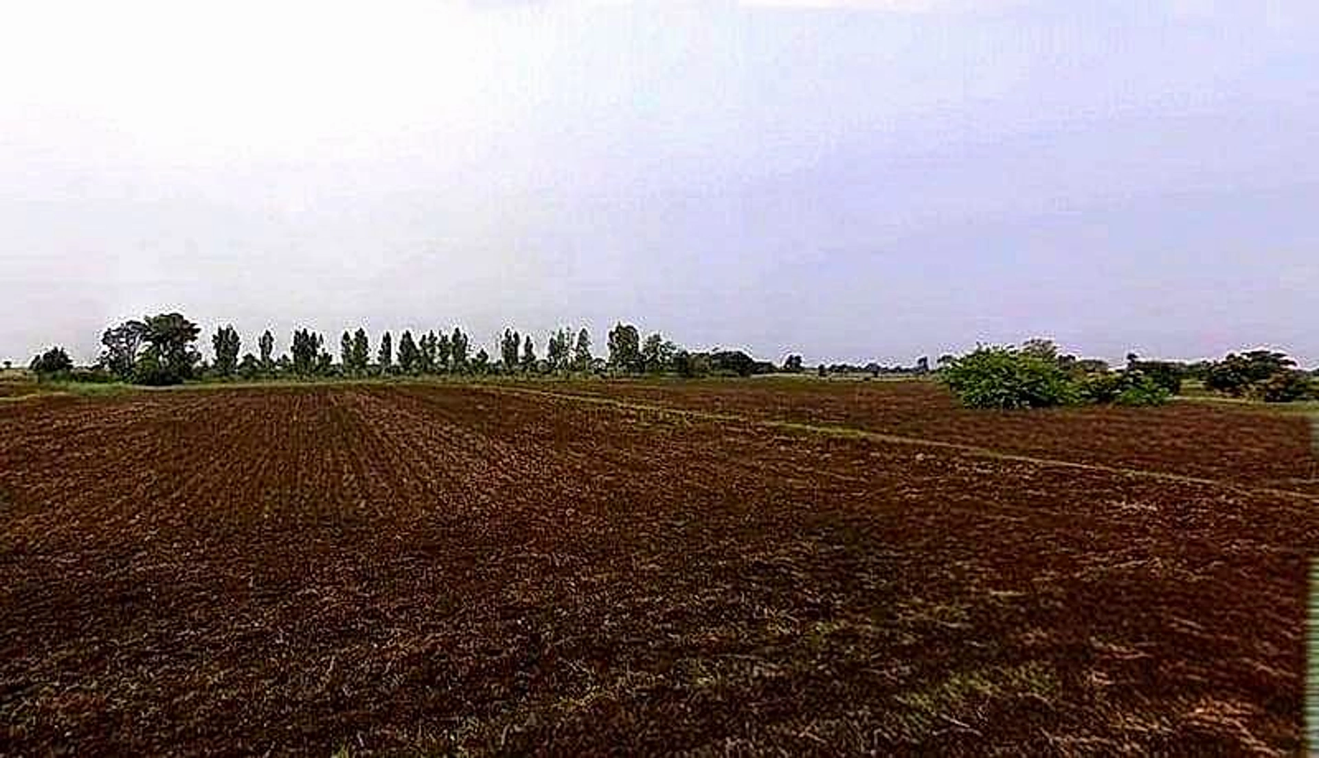 Gora Khedi, Madhya Pradesh 466115, India