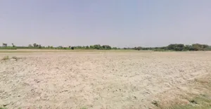 Terasiya, Bihar, India preview 3