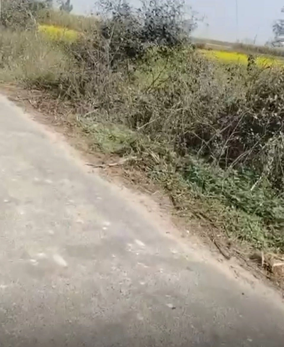 Mawana, Uttar Pradesh, India