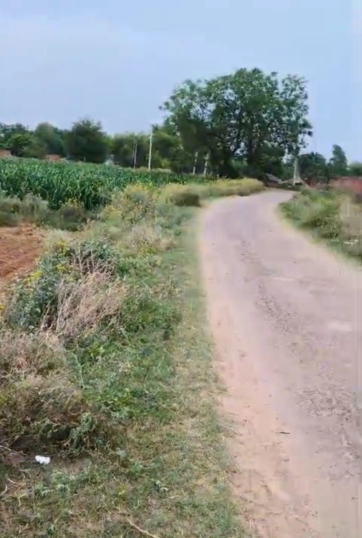 Majri Kalan, Kotputli-Behror, Rajasthan 301703, India preview 2