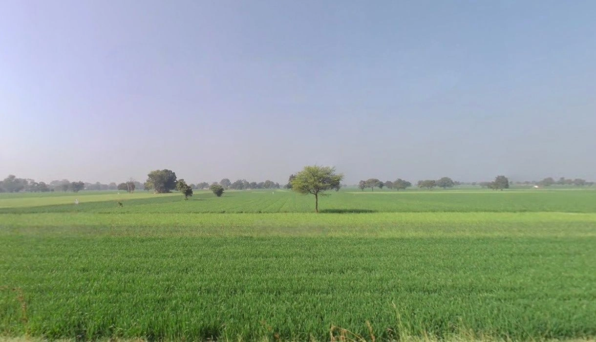 Sinduriya, Madhya Pradesh, India preview 3