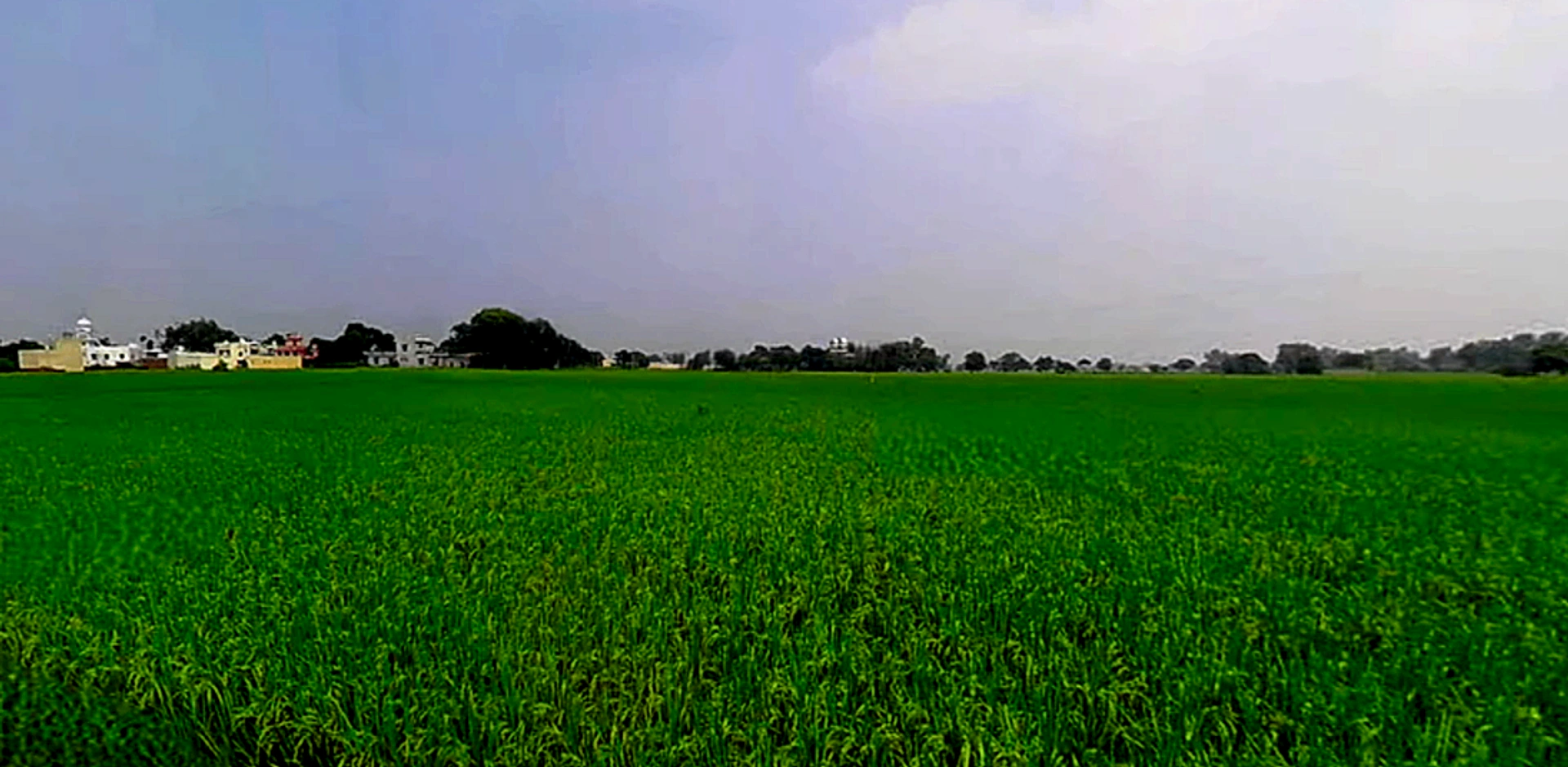 Phagwara, Punjab, India