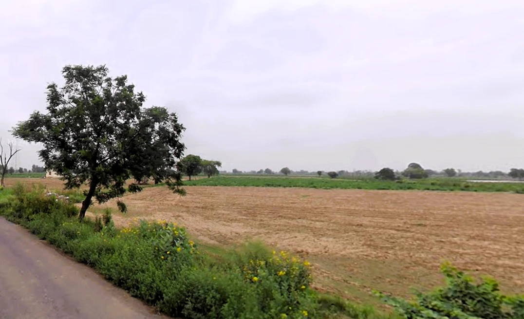 Barwala, Haryana 125121, India
