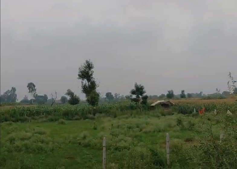 393M+Q8 Barnagar, Ujjain, Madhya Pradesh, India