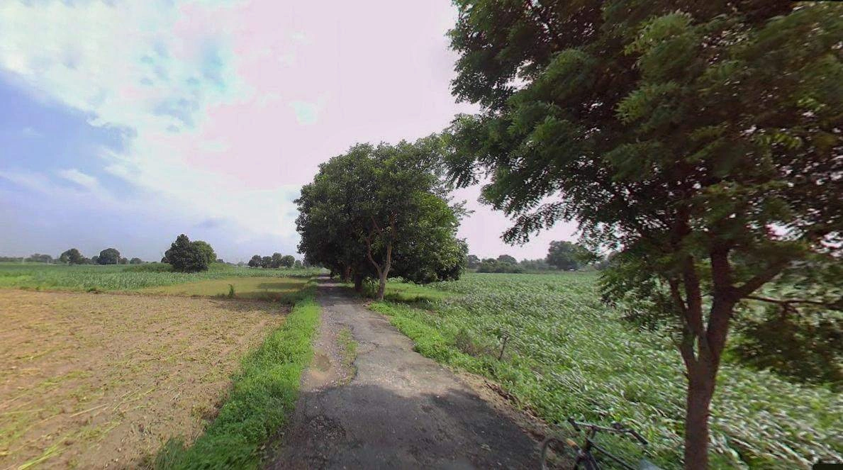 Jhajjar, Haryana 124103, India