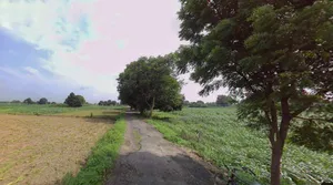 Jhajjar, Haryana 124103, India preview 3