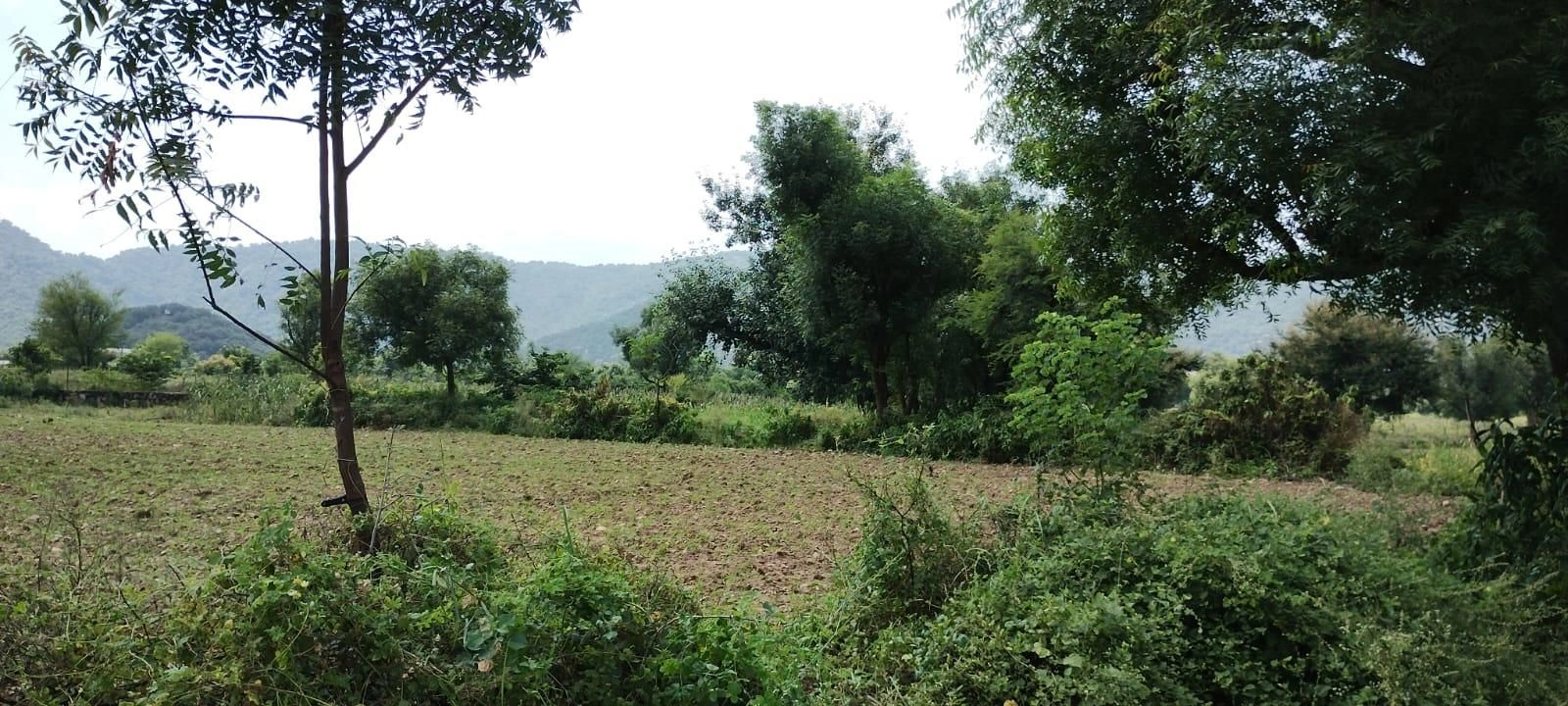 Beebanwa, Rajasthan 323001, India preview 3