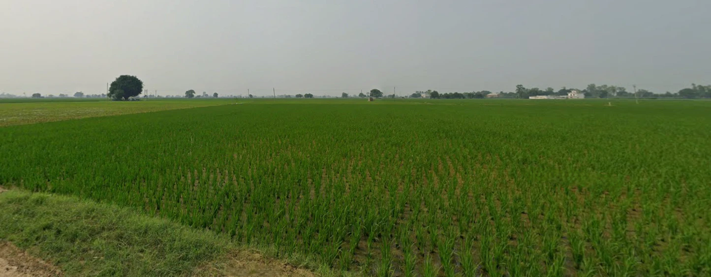 Tewar, Punjab 140301, India