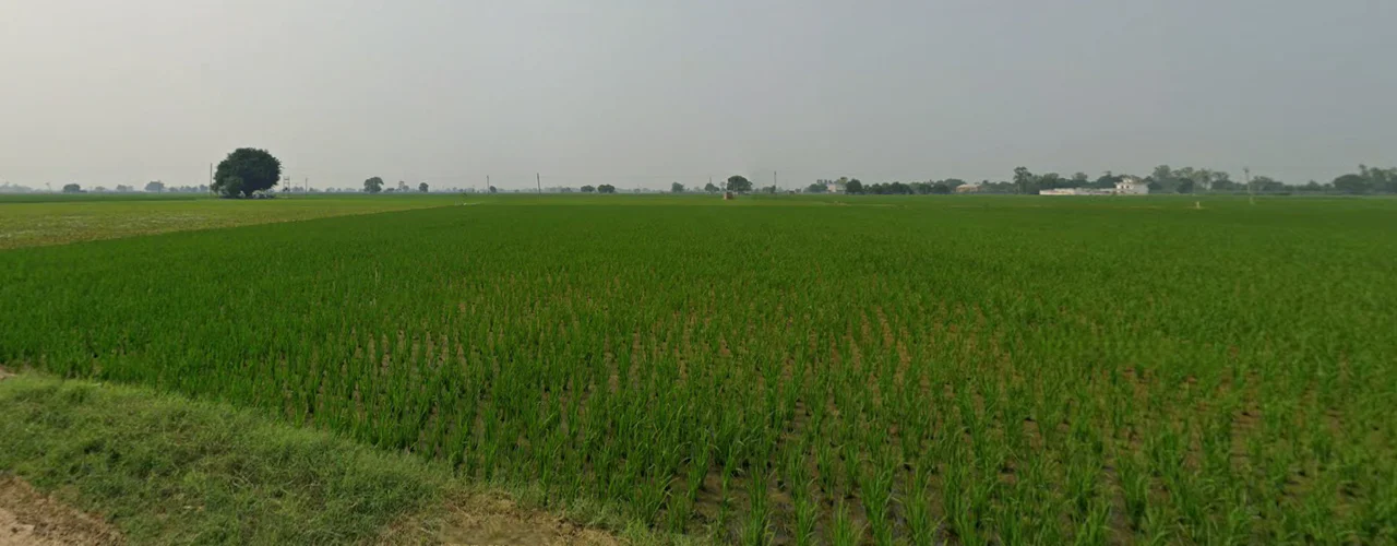 Tewar, Punjab 140301, India preview 2