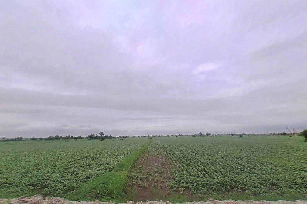 J56J+XM Bala, Rajasthan, India