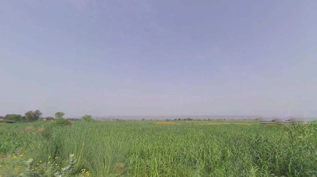 PW4H+XJJ, Rawli, Haryana 122104, India