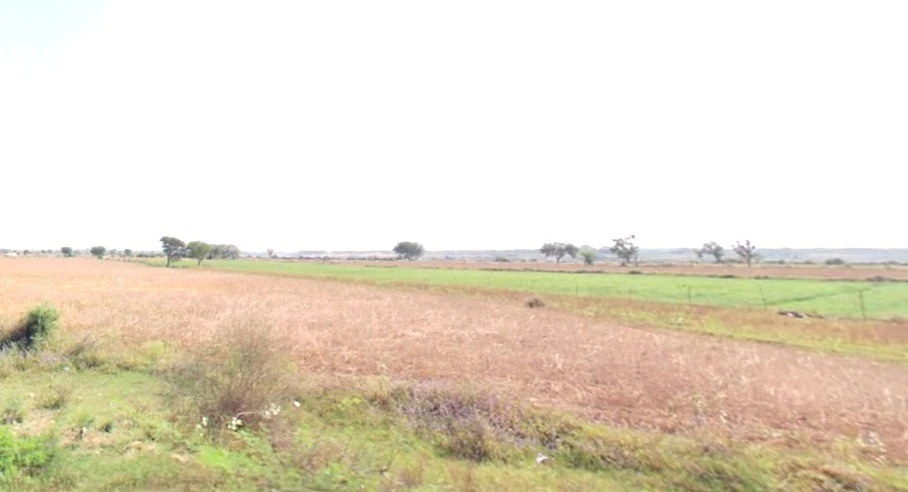 Suwarkota, Madhya Pradesh 465001, India