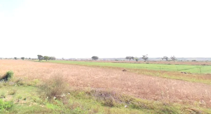 Suwarkota, Madhya Pradesh 465001, India preview 2