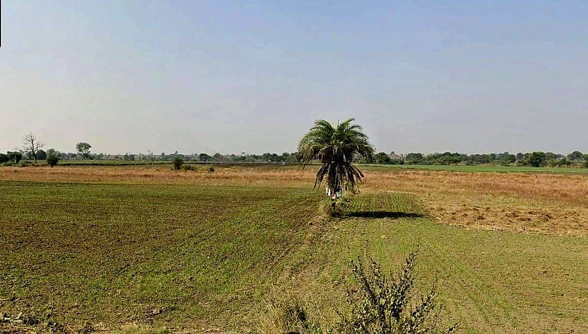 Barrai, Madhya Pradesh 462047, India
