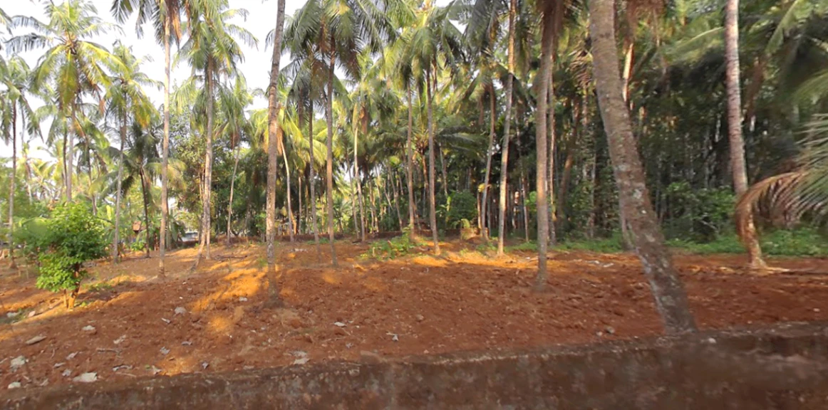 V3QG+F55, Kizhakkekara Road, Valanchery, Kerala 676552, India