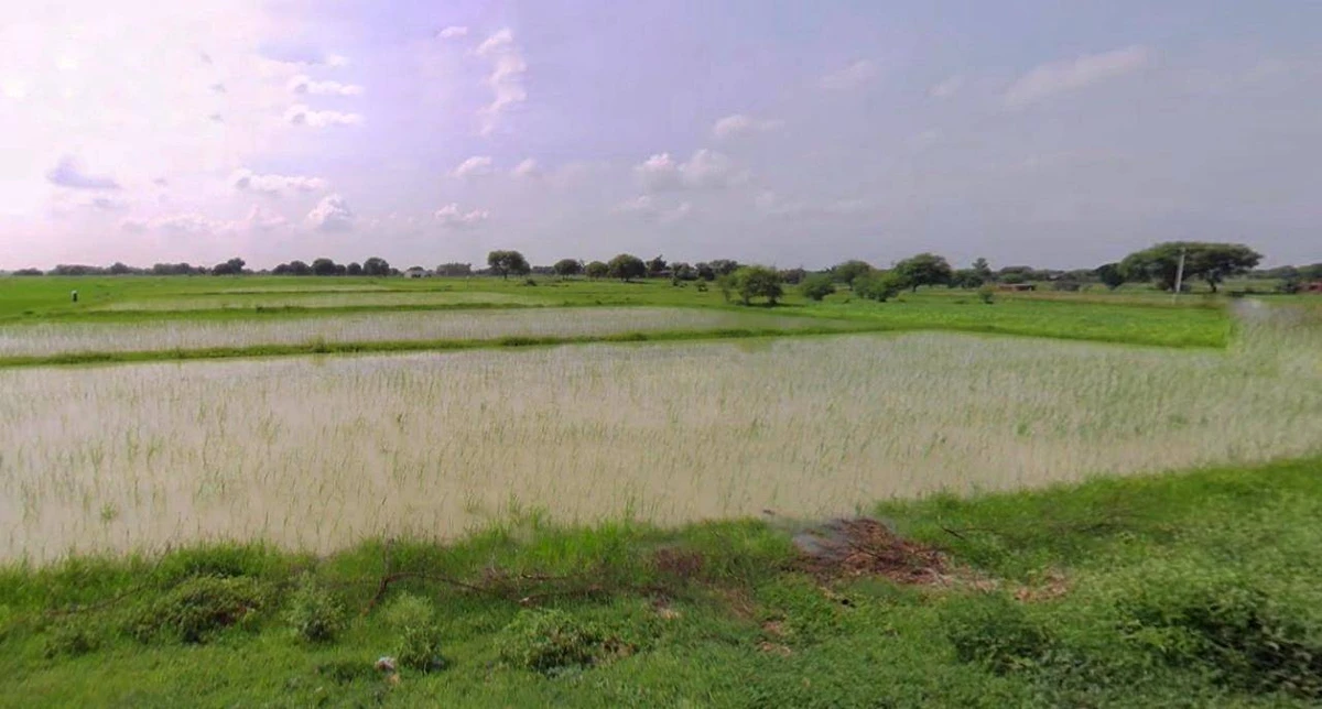 Sri Ganganagar, Rajasthan, India