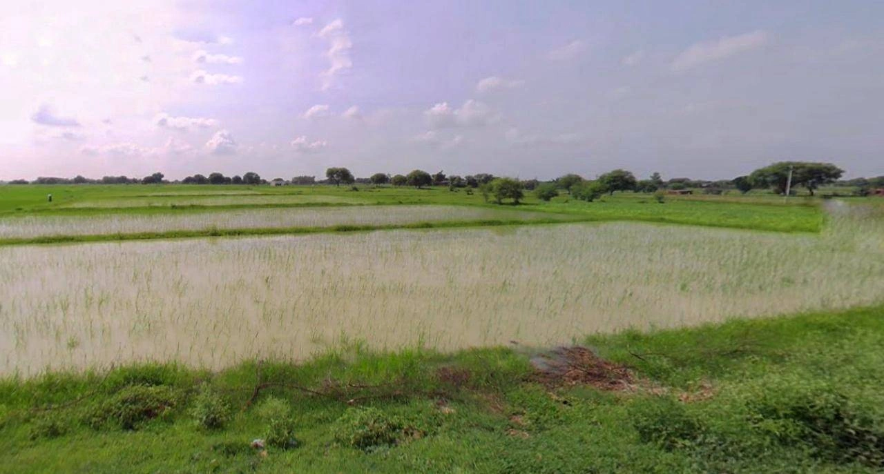 Sri Ganganagar, Rajasthan, India