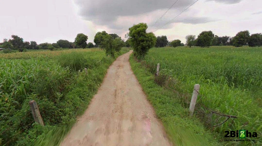 Roorkee, Uttarakhand, India