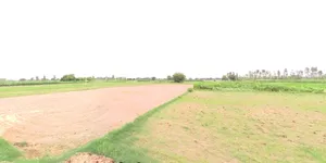 Sankota, Madhya Pradesh, India preview 3
