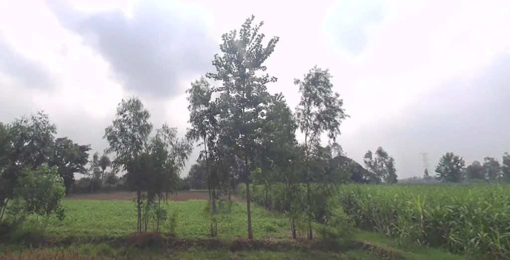 Garh Mukteshwar, Uttar Pradesh 245205, India